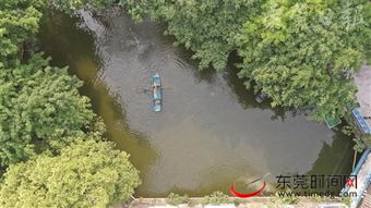 東莞深入推進水污染治理攻堅戰，碧水清流重現莞邑